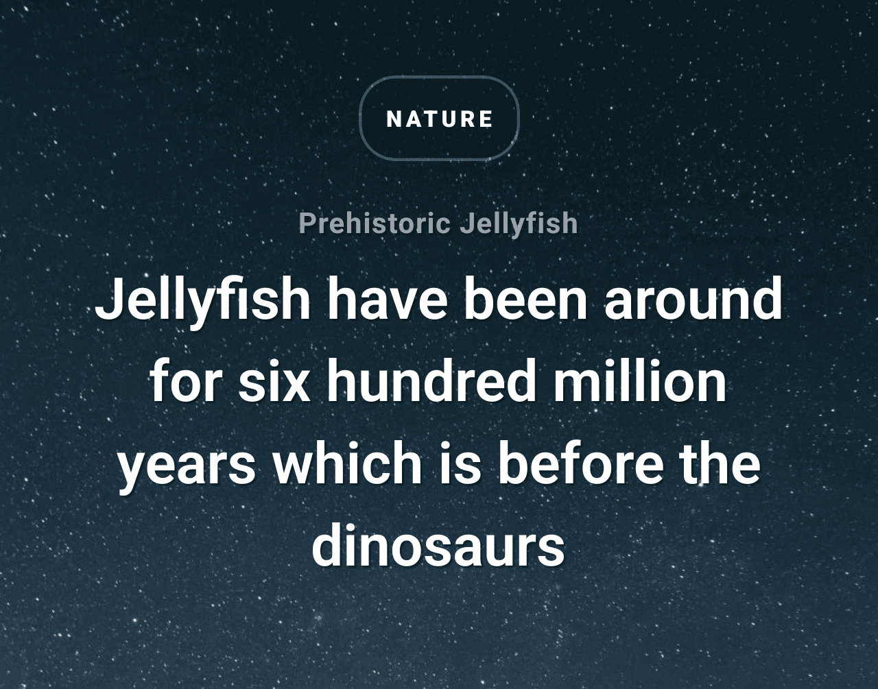 Daily learning app visual
