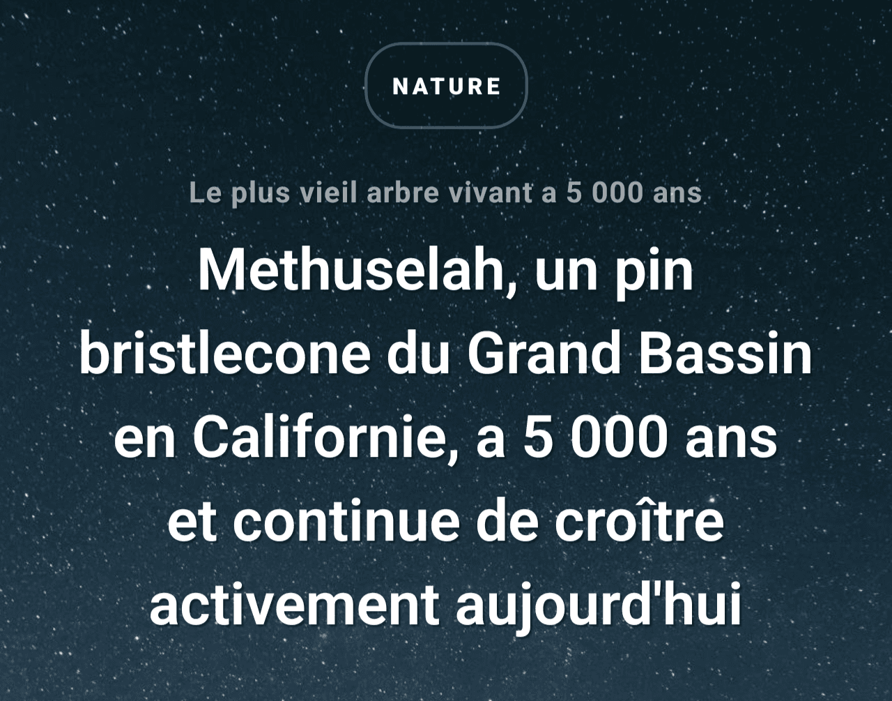 Visuel app apprentissage quotidien