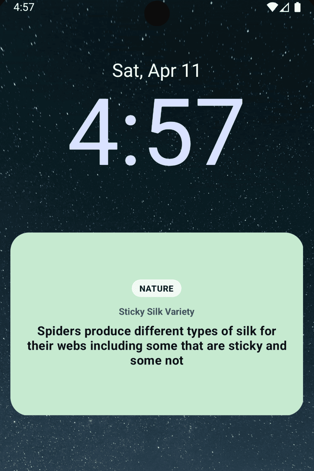 Widget placeholder
